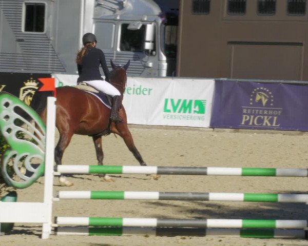 Reitturnier Karlsfeld/Obb. 2022