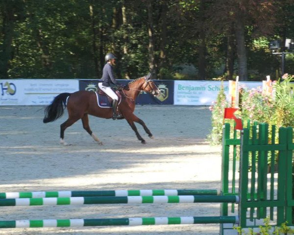 Reitturnier Karlsfeld/Obb. 2022
