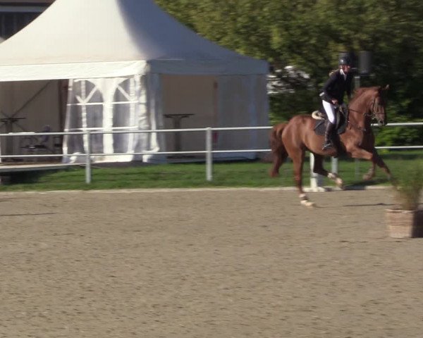Reitturnier Langenfeld - Gut Langfort 2022