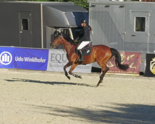Reitturnier Karlsfeld/Obb. 2022