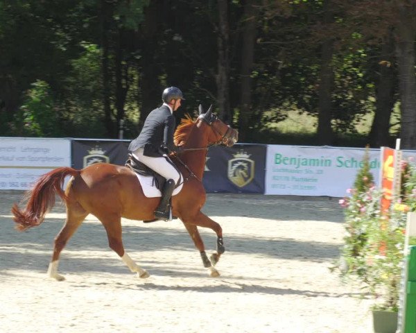 Reitturnier Karlsfeld/Obb. 2022