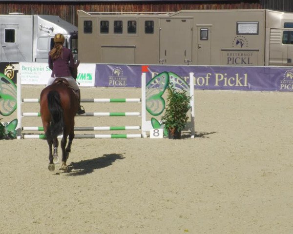 Reitturnier Karlsfeld/Obb. 2022