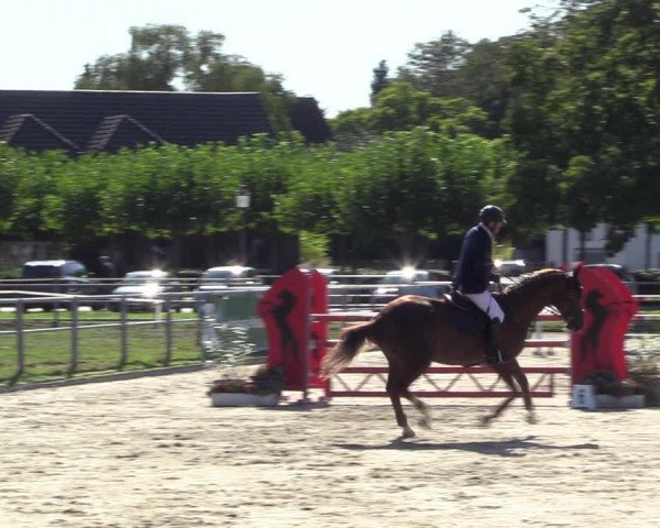 Reitturnier Langenfeld - Gut Langfort 2022