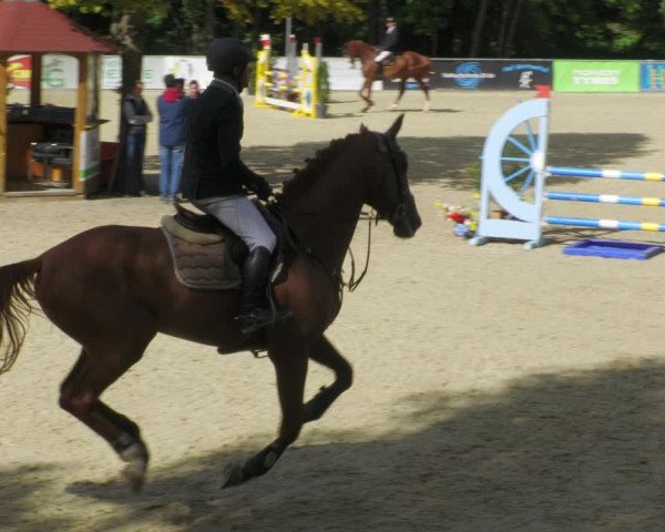 Reitturnier Karlsfeld/Obb. 2022