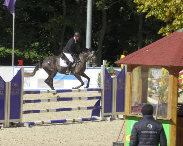 Reitturnier Karlsfeld/Obb. 2022