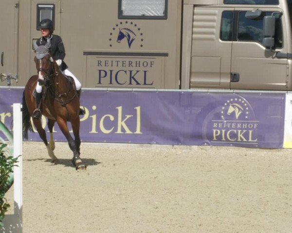 Torneo Equestre Karlsfeld/Obb. 2022