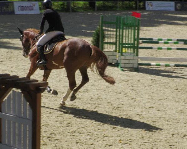 Reitturnier Karlsfeld/Obb. 2022