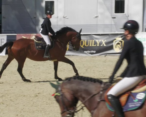 Reitturnier Karlsfeld/Obb. 2022