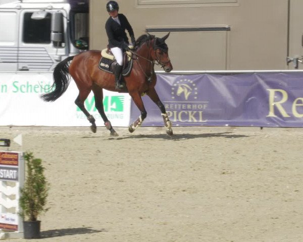 Reitturnier Karlsfeld/Obb. 2022