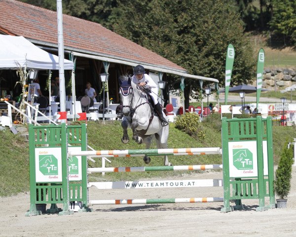 jumper CORTADO 2 (Oldenburg, 2011, from Flemmingh)