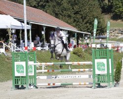 jumper CORTADO 2 (Oldenburg, 2011, from Flemmingh)