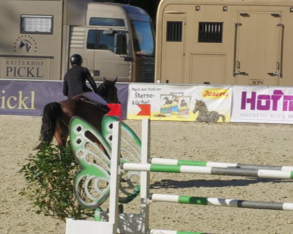 Reitturnier Karlsfeld/Obb. 2022
