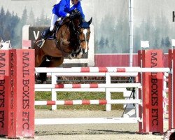 jumper Renkum Delaware (anglo european sporthorse, 2007)