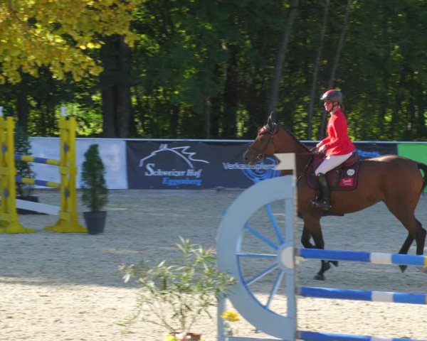 Reitturnier Karlsfeld/Obb. 2022
