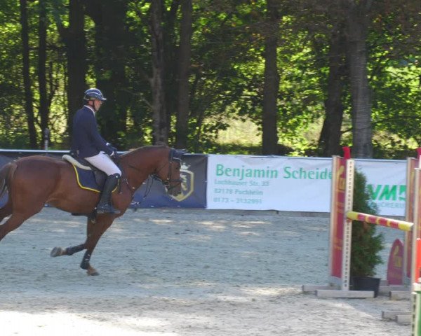 Reitturnier Karlsfeld/Obb. 2022