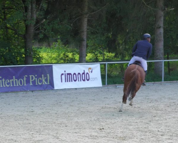 Reitturnier Karlsfeld/Obb. 2022