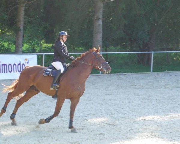 Reitturnier Karlsfeld/Obb. 2022