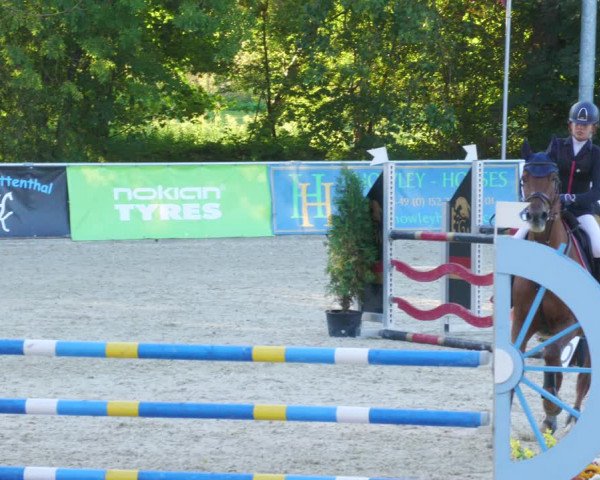 Reitturnier Karlsfeld/Obb. 2022