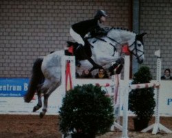 broodmare Quitte 11 (German Sport Horse, 2003, from Quite Capitol)