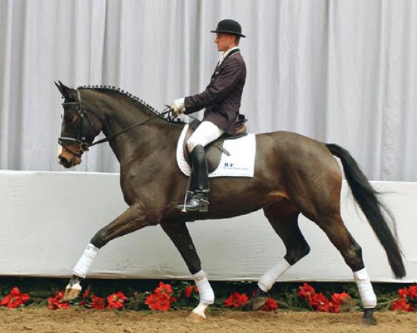 broodmare Sonique (Westphalian, 2004, from Show Star)