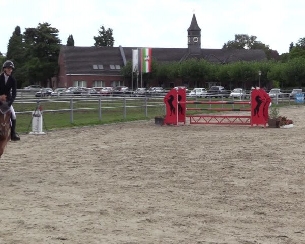 Reitturnier Langenfeld - Gut Langfort 2022