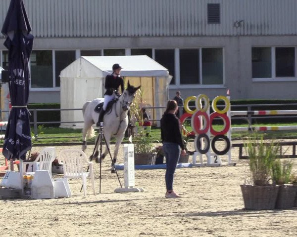 Reitturnier Langenfeld - Gut Langfort 2022