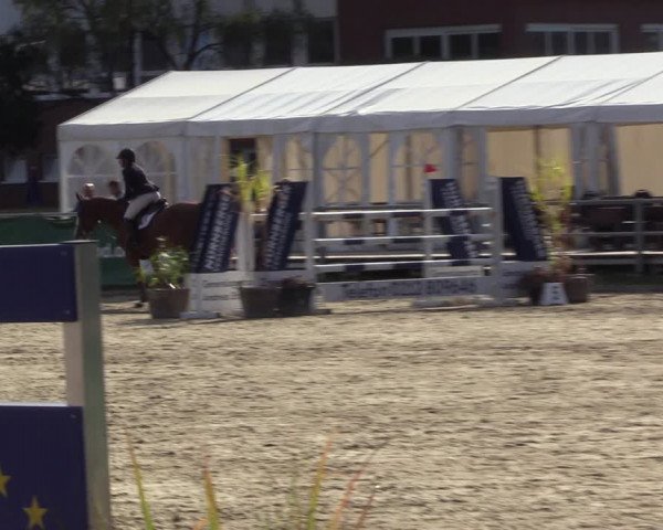Reitturnier Langenfeld - Gut Langfort 2022