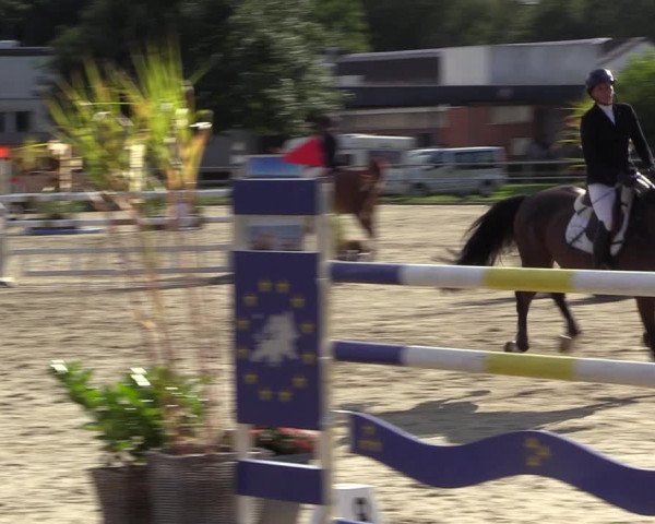 Reitturnier Langenfeld - Gut Langfort 2022