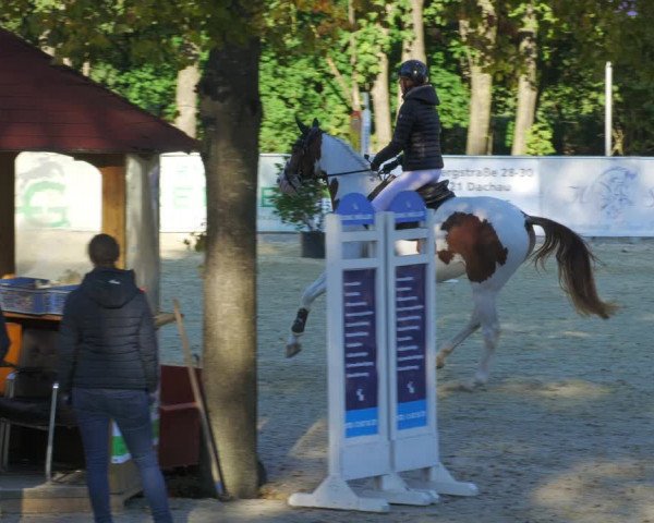 Reitturnier Karlsfeld/Obb. 2022