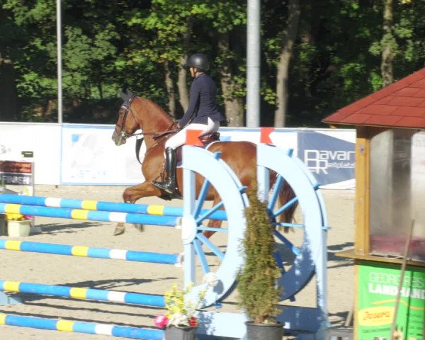 Reitturnier Karlsfeld/Obb. 2022
