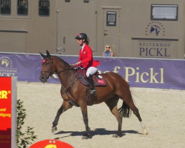 Reitturnier Karlsfeld/Obb. 2022