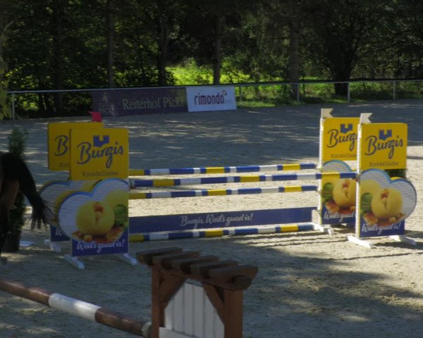 Reitturnier Karlsfeld/Obb. 2022