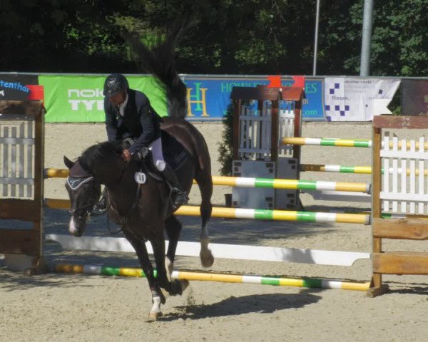 Reitturnier Karlsfeld/Obb. 2022