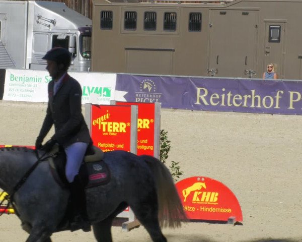 Reitturnier Karlsfeld/Obb. 2022