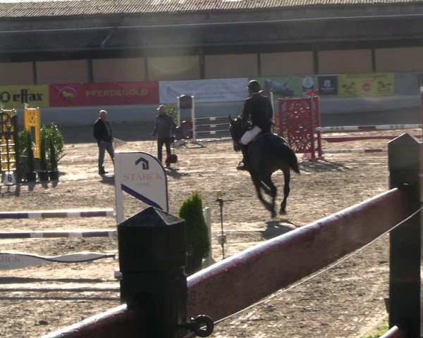Reitturnier Wachtberg-Adendorf 2022