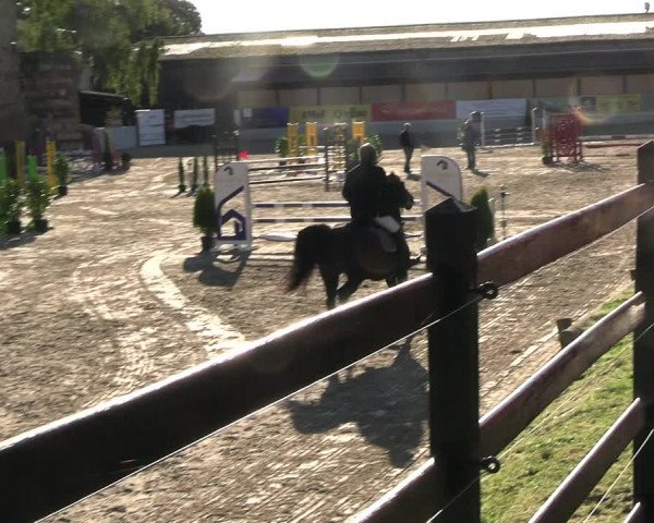 Reitturnier Wachtberg-Adendorf 2022