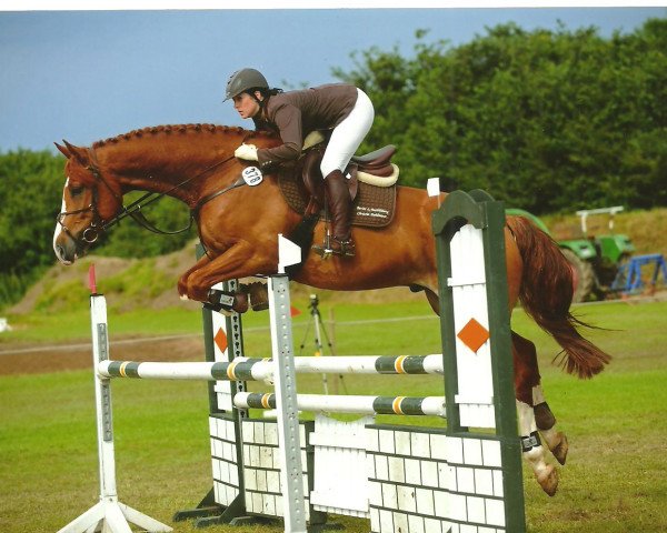 Springpferd Levano Rosso (Holsteiner, 2005, von Bartlgut's Limotas)
