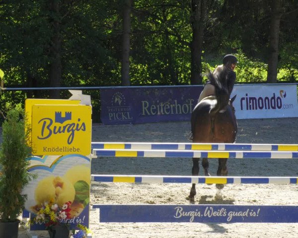 Reitturnier Karlsfeld/Obb. 2022