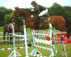 broodmare Tiffany 360 (Holsteiner, 2003, from Caretello B)