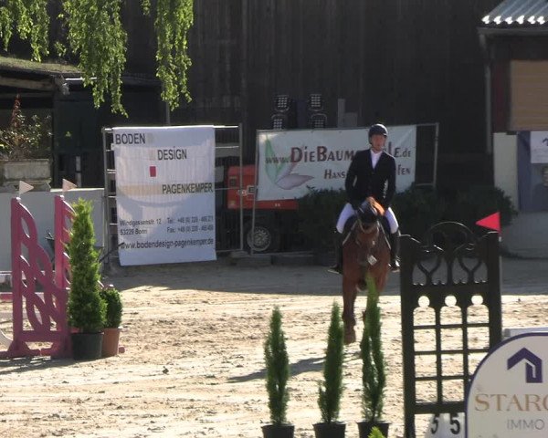 Reitturnier Wachtberg-Adendorf 2022