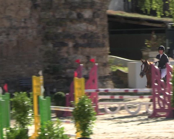 Reitturnier Wachtberg-Adendorf 2022