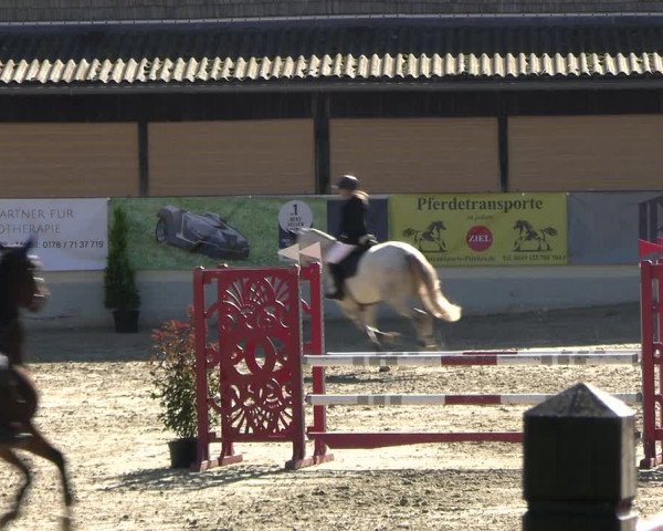 Reitturnier Wachtberg-Adendorf 2022