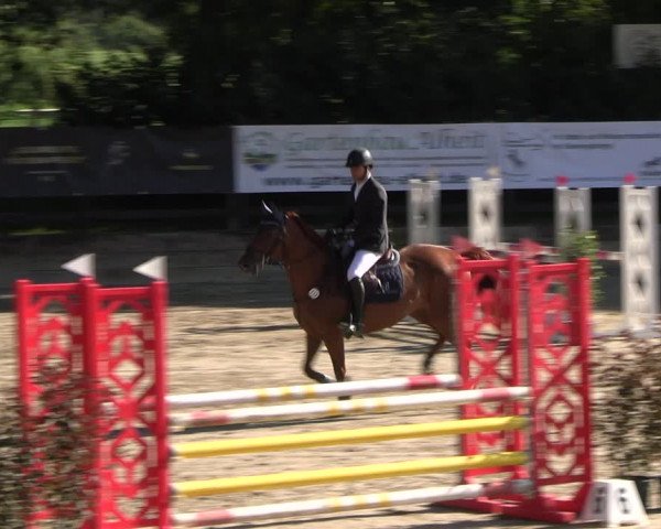 Reitturnier Wachtberg-Adendorf 2022