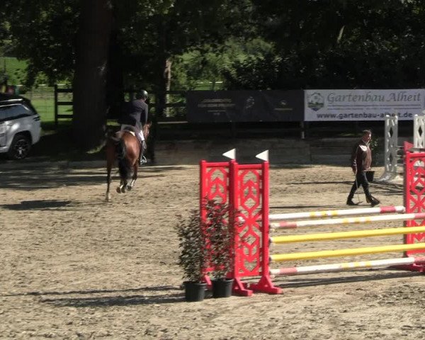 Reitturnier Wachtberg-Adendorf 2022
