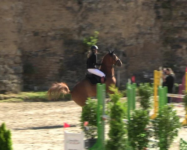 Reitturnier Wachtberg-Adendorf 2022