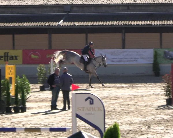 Reitturnier Wachtberg-Adendorf 2022