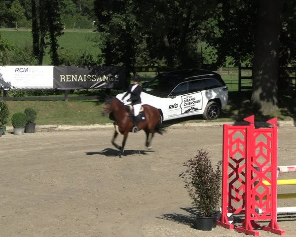 Reitturnier Wachtberg-Adendorf 2022