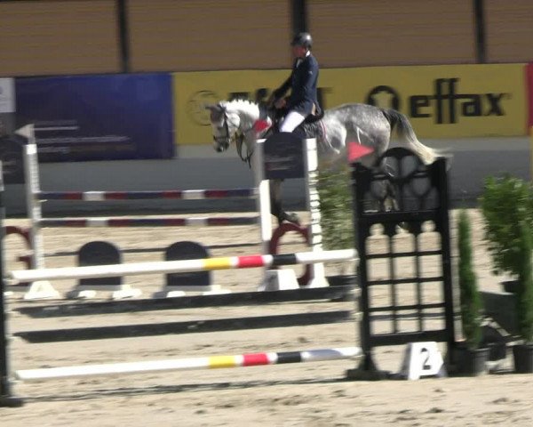 Reitturnier Wachtberg-Adendorf 2022