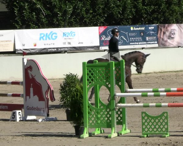 Reitturnier Wachtberg-Adendorf 2022