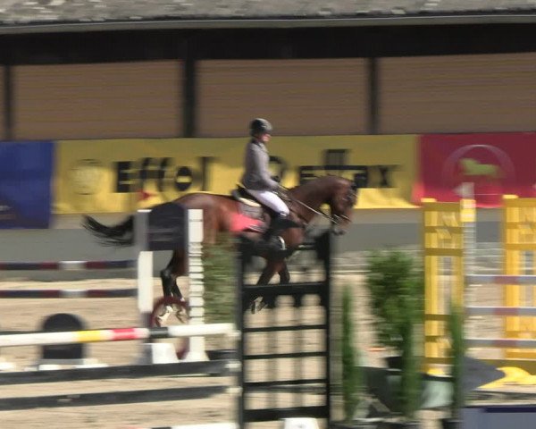 Reitturnier Wachtberg-Adendorf 2022